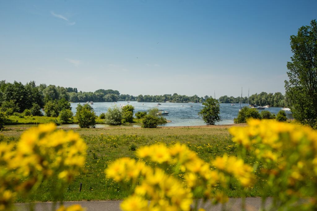 struinen in het land van maas en waal routes
