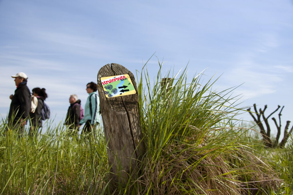 mensen wandelen een struinroute in land van maas en waal