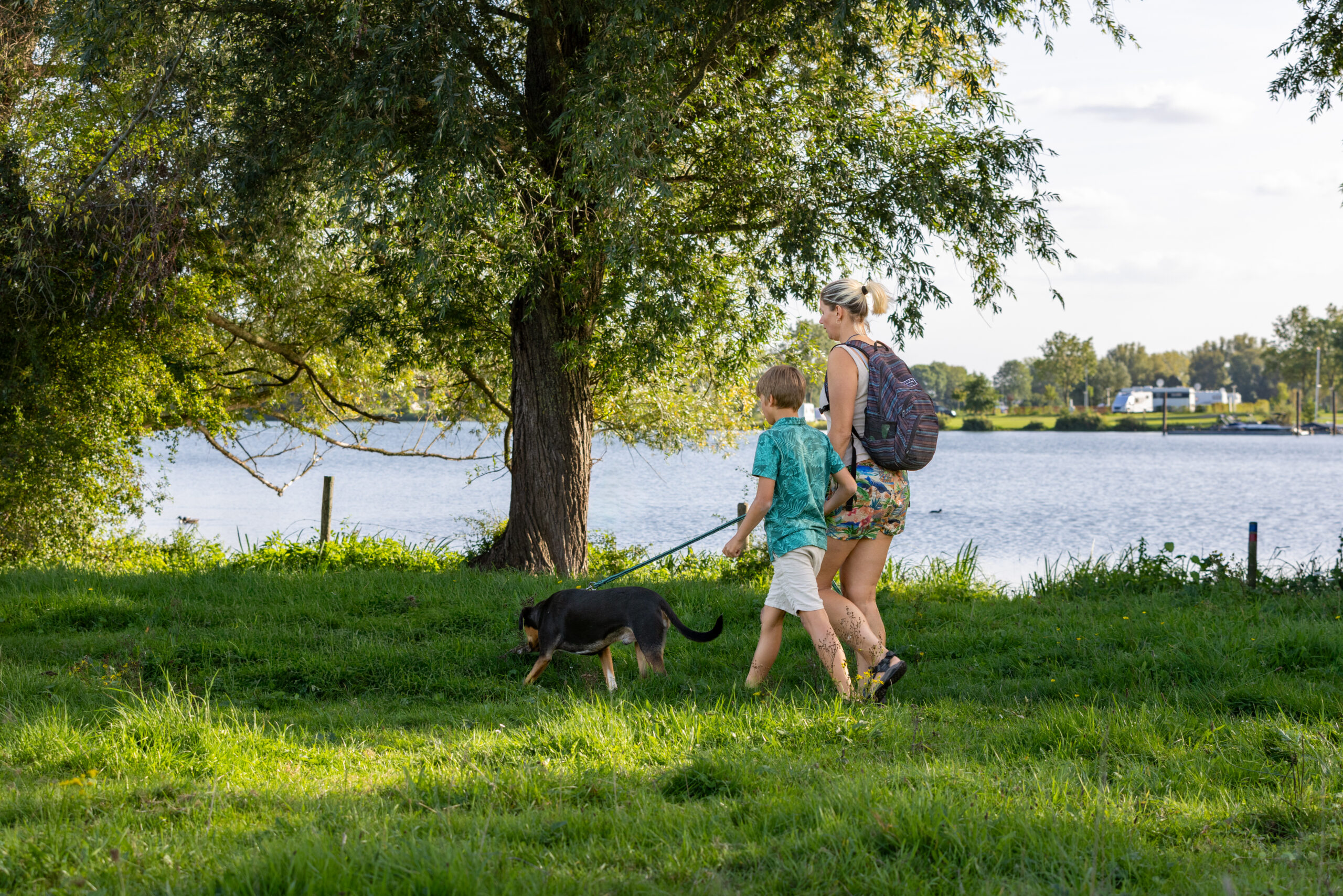 Een oude Maasmeander
